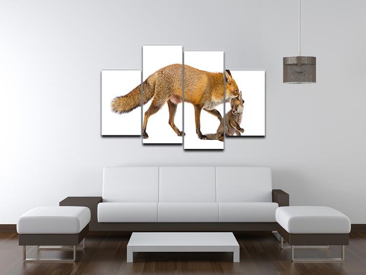 Mother fox carrying her cub 4 Split Panel Canvas - Canvas Art Rocks - 3
