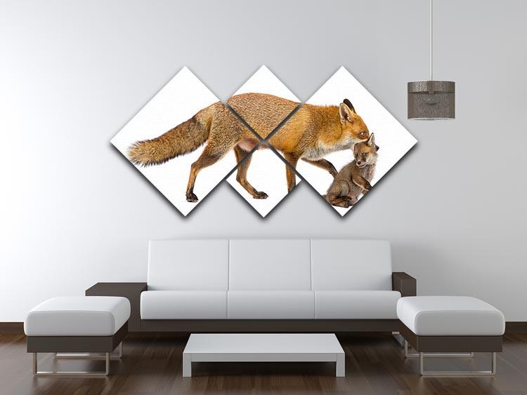 Mother fox carrying her cub 4 Square Multi Panel Canvas - Canvas Art Rocks - 3