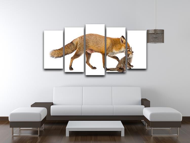 Mother fox carrying her cub 5 Split Panel Canvas - Canvas Art Rocks - 3