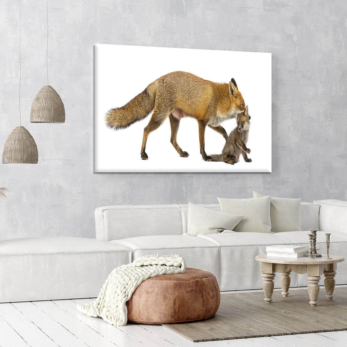 Mother fox carrying her cub Canvas Print or Poster