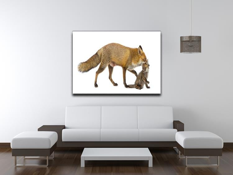 Mother fox carrying her cub Canvas Print or Poster - Canvas Art Rocks - 4