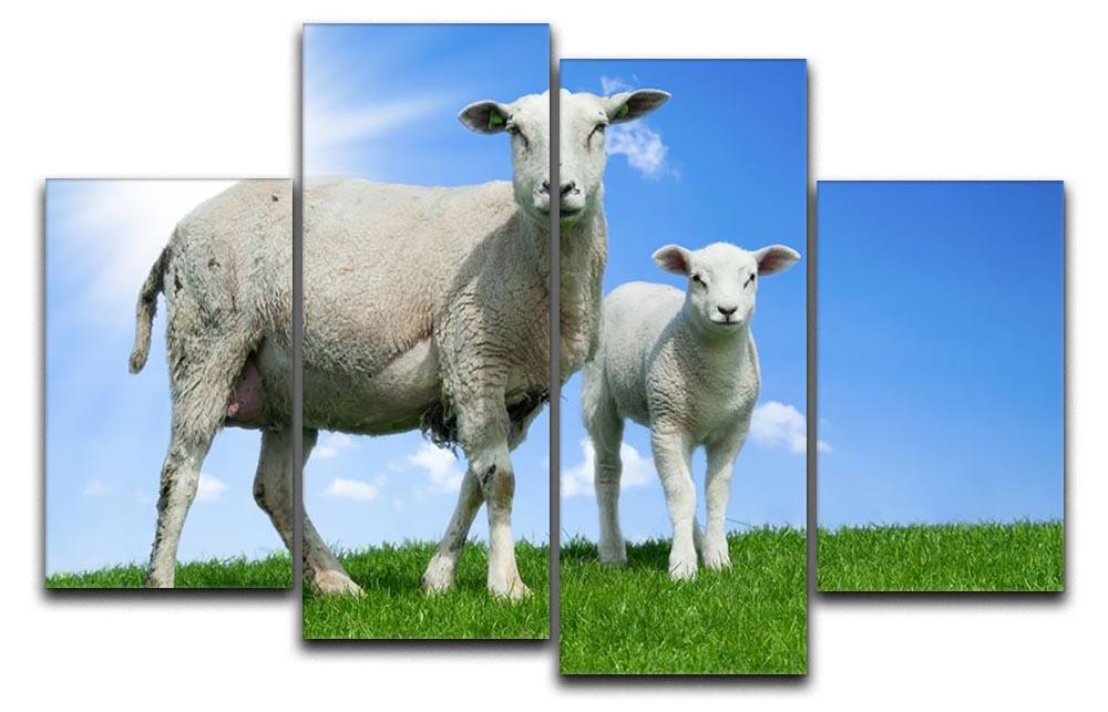 Mother sheep and her lamb in spring 4 Split Panel Canvas - Canvas Art Rocks - 1
