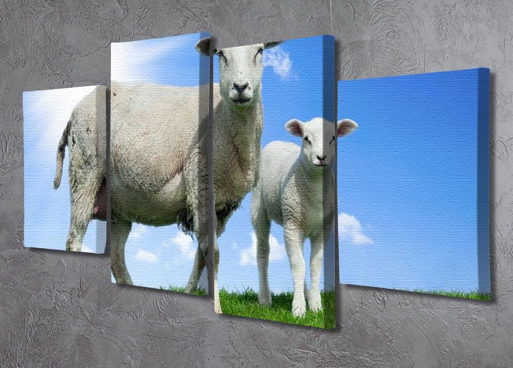 Mother sheep and her lamb in spring 4 Split Panel Canvas - Canvas Art Rocks - 2