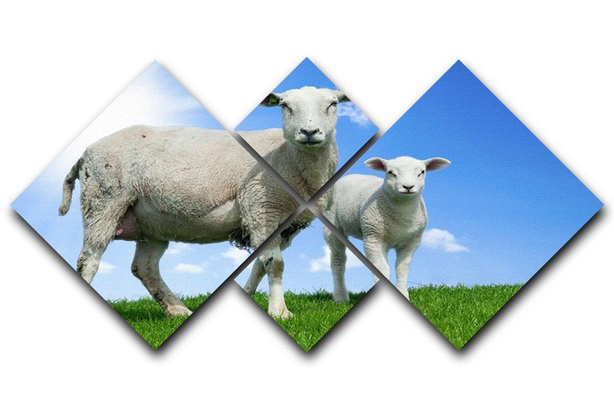 Mother sheep and her lamb in spring 4 Square Multi Panel Canvas - Canvas Art Rocks - 1