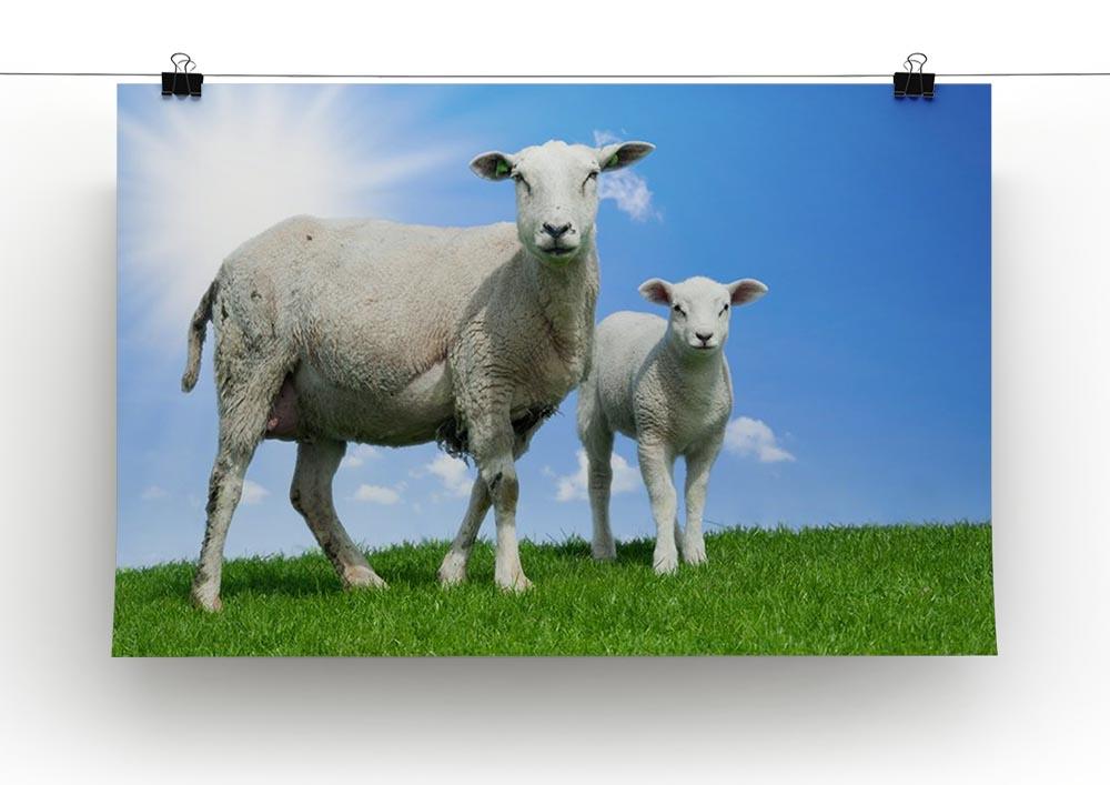 Mother sheep and her lamb in spring Canvas Print or Poster - Canvas Art Rocks - 2