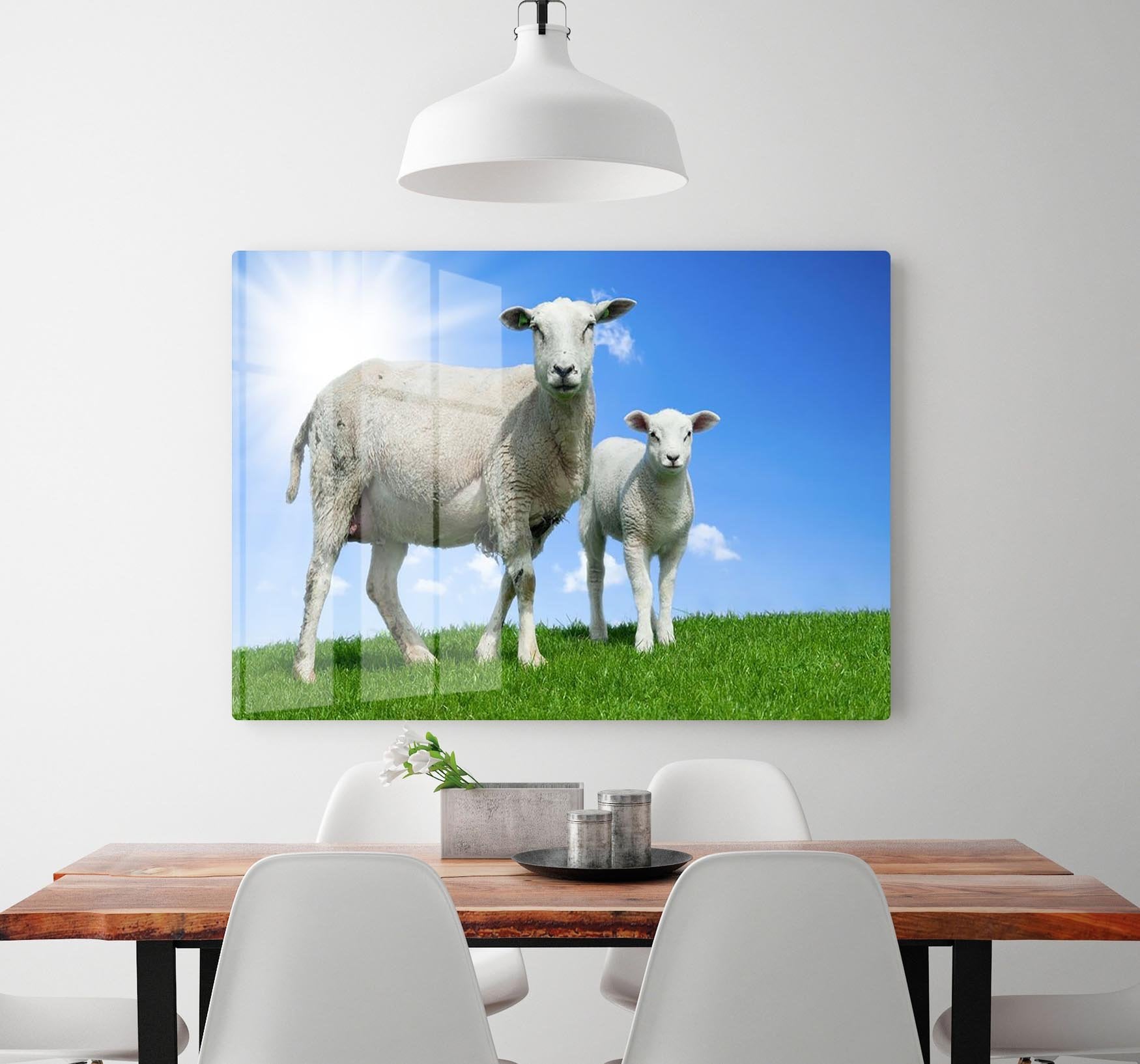 Mother sheep and her lamb in spring HD Metal Print - Canvas Art Rocks - 2