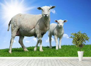 Mother sheep and her lamb in spring Wall Mural Wallpaper - Canvas Art Rocks - 4