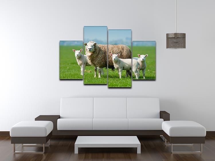 Mother sheep and her lambs in spring 4 Split Panel Canvas - Canvas Art Rocks - 3