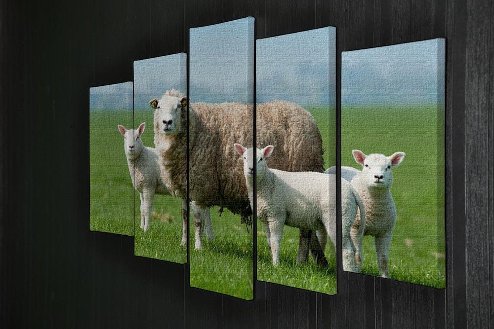 Mother sheep and her lambs in spring 5 Split Panel Canvas - Canvas Art Rocks - 2