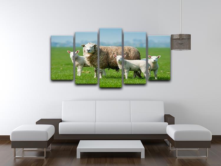 Mother sheep and her lambs in spring 5 Split Panel Canvas - Canvas Art Rocks - 3