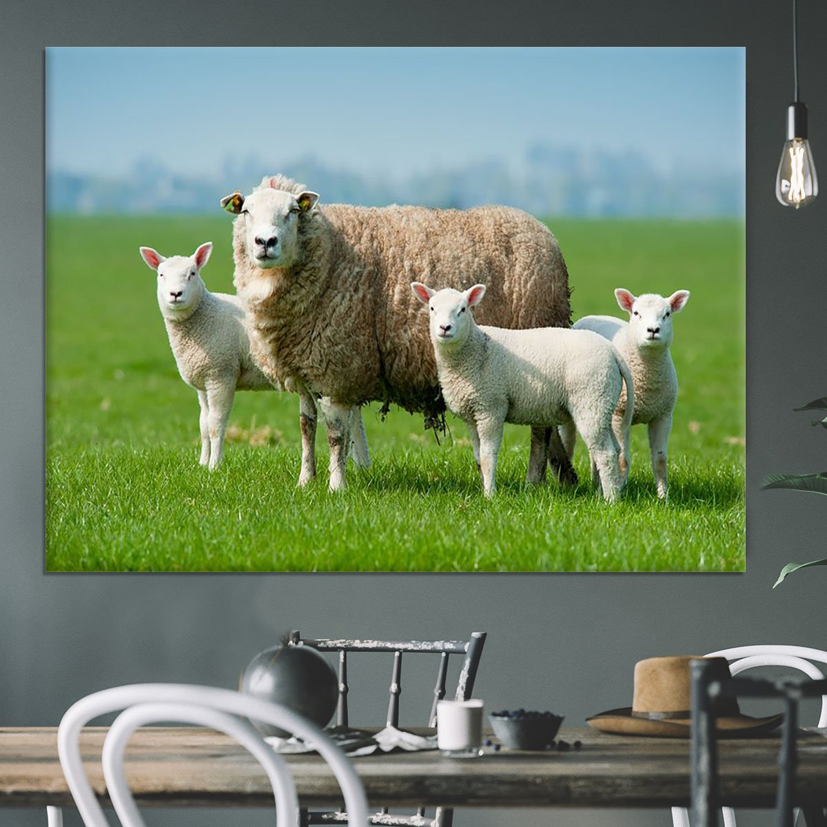 Mother sheep and her lambs in spring Canvas Print or Poster