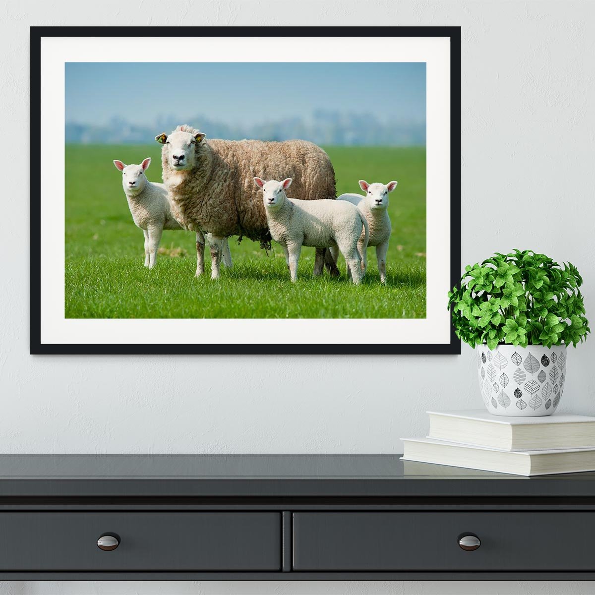Mother sheep and her lambs in spring Framed Print - Canvas Art Rocks - 1
