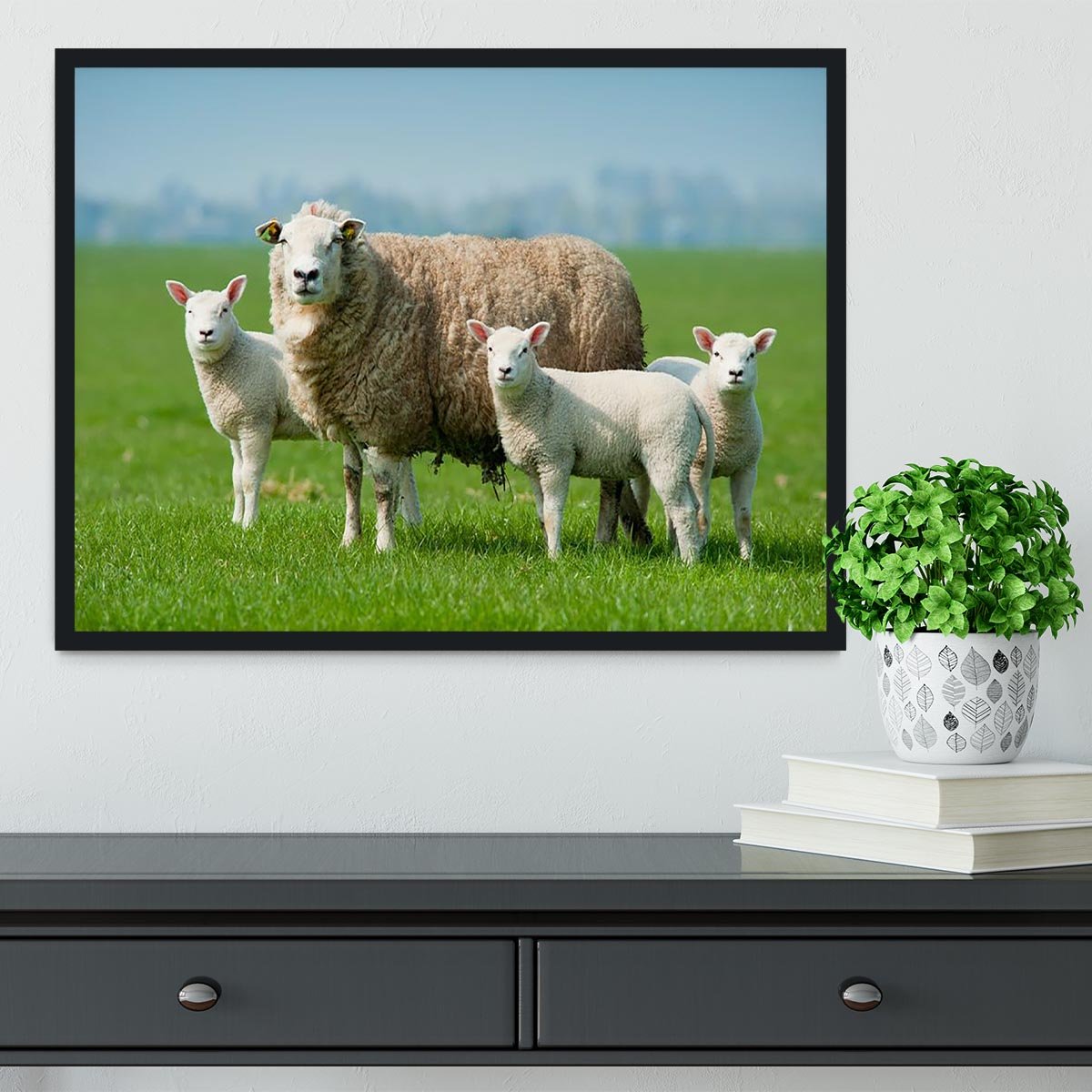 Mother sheep and her lambs in spring Framed Print - Canvas Art Rocks - 2