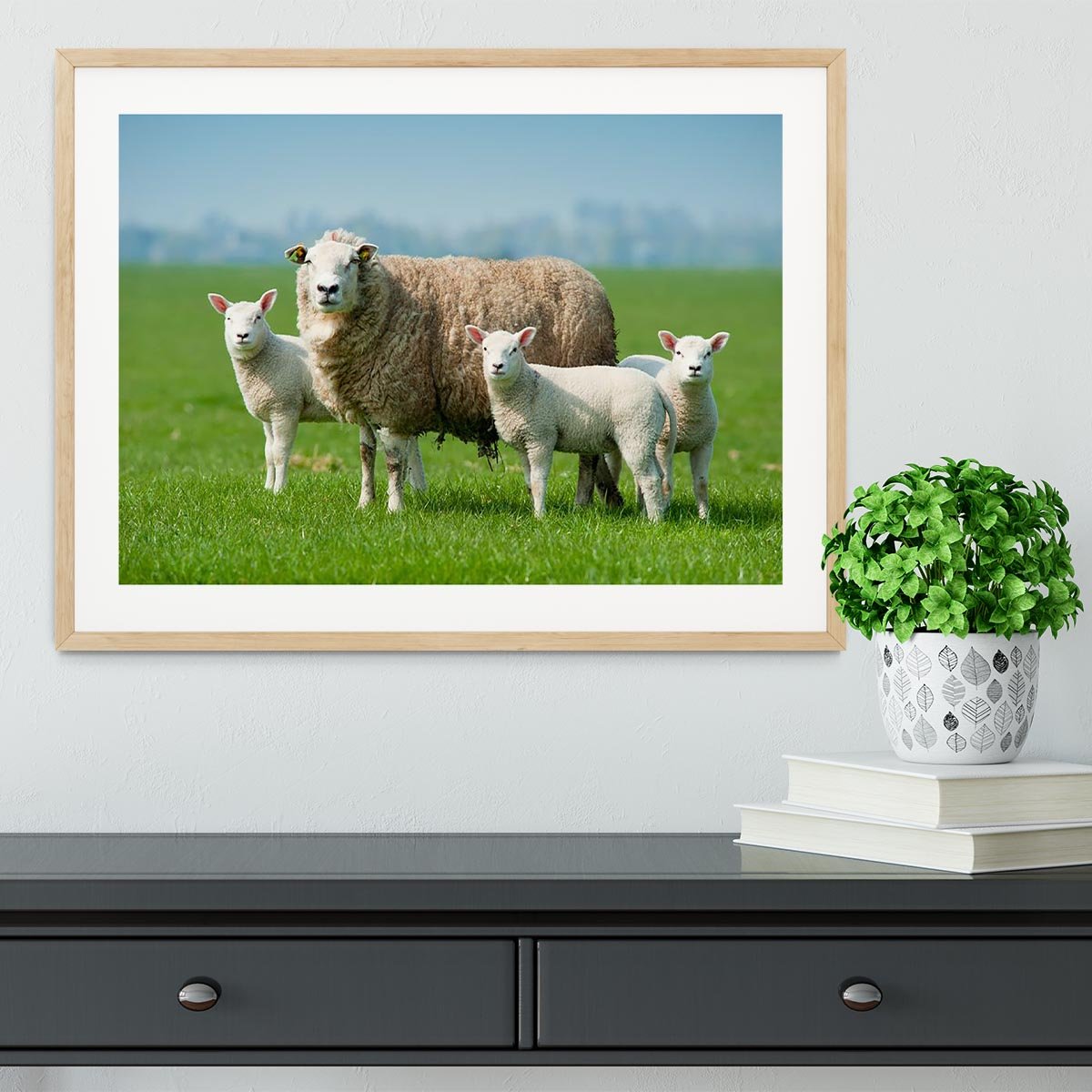 Mother sheep and her lambs in spring Framed Print - Canvas Art Rocks - 3