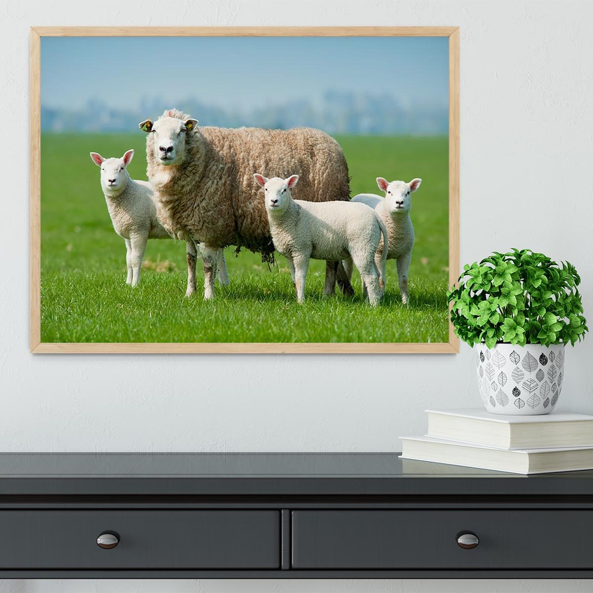 Mother sheep and her lambs in spring Framed Print - Canvas Art Rocks - 4
