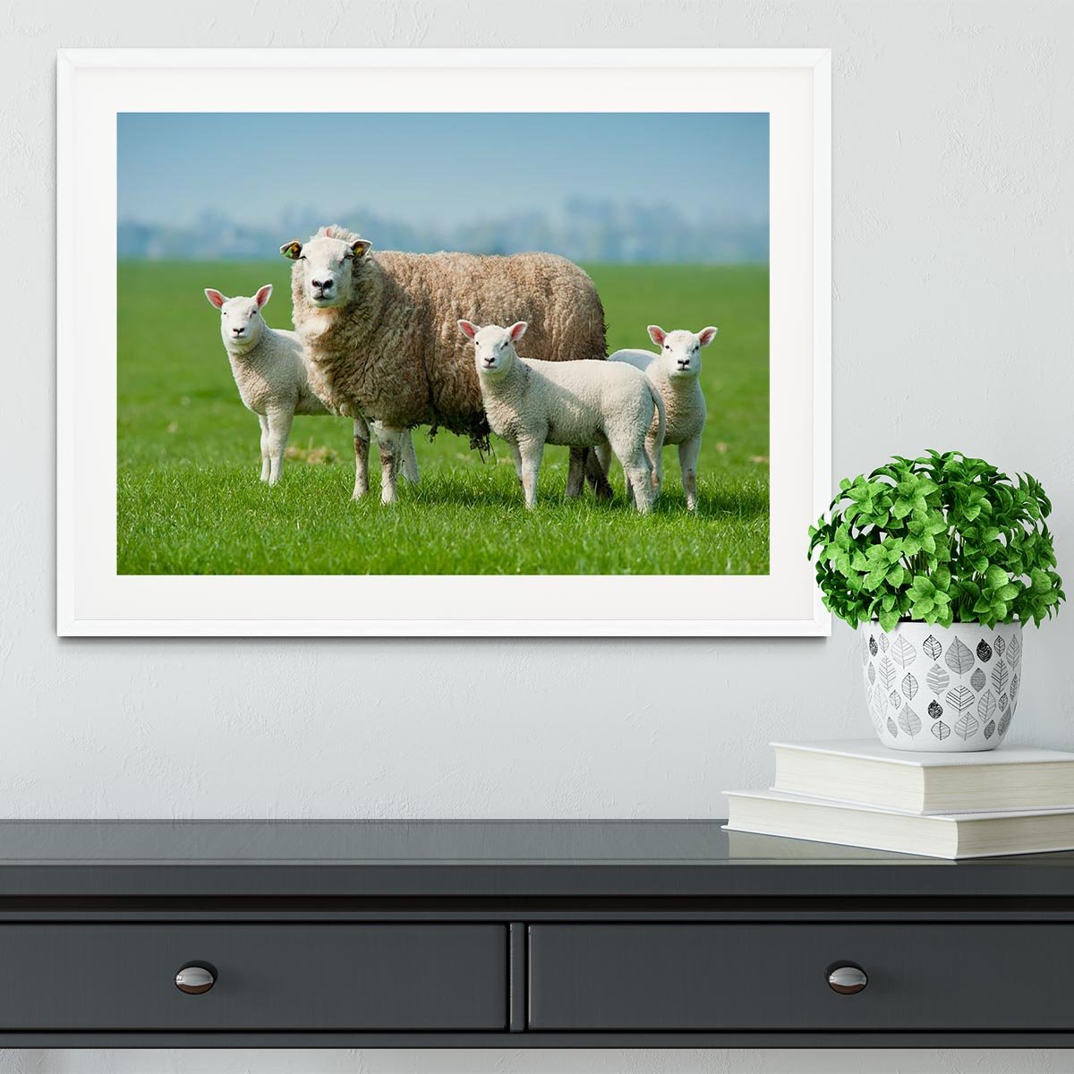 Mother sheep and her lambs in spring Framed Print - Canvas Art Rocks - 5