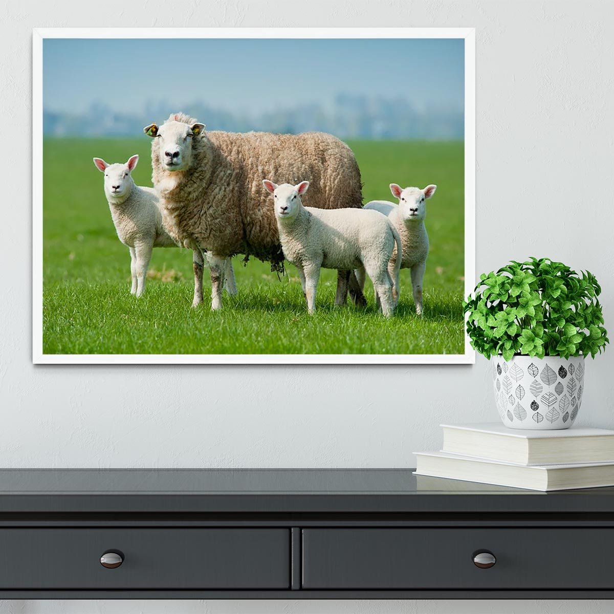 Mother sheep and her lambs in spring Framed Print - Canvas Art Rocks -6