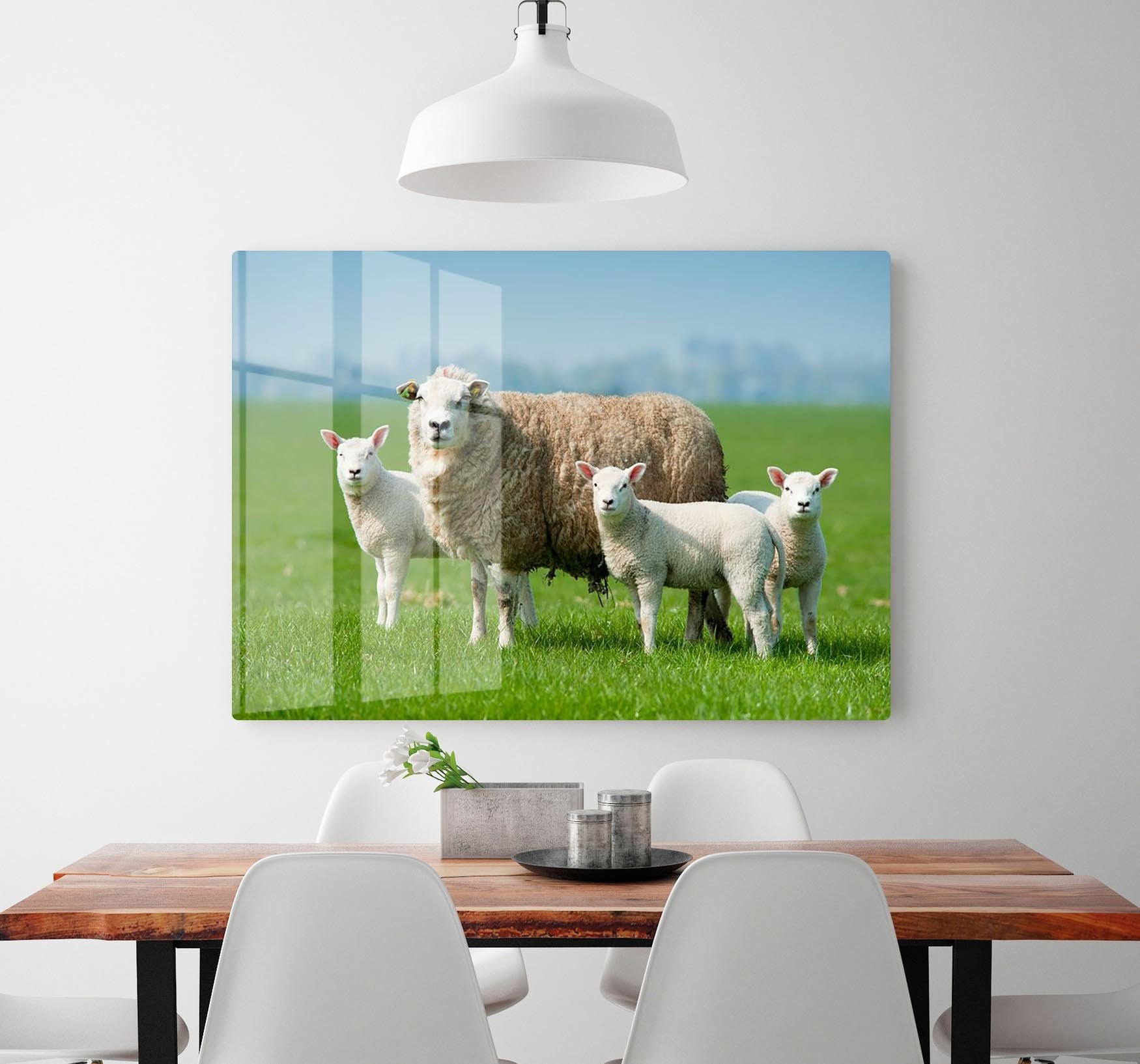 Mother sheep and her lambs in spring HD Metal Print - Canvas Art Rocks - 2