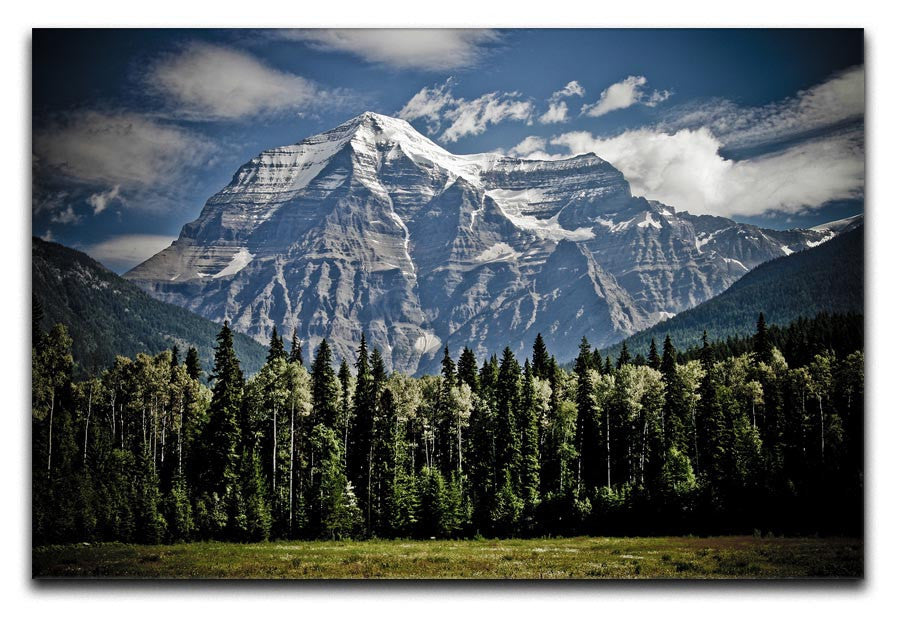 Mountain With Trees Print - Canvas Art Rocks - 1