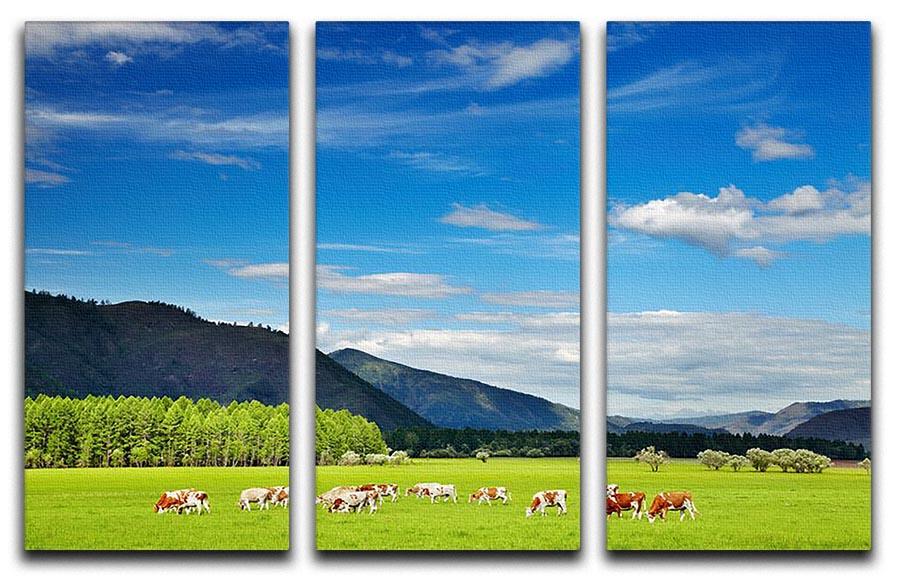 Mountain landscape with grazing cows and blue sky 3 Split Panel Canvas Print - Canvas Art Rocks - 1