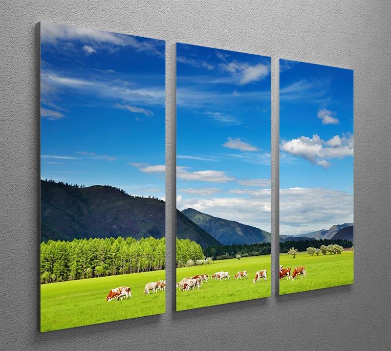 Mountain landscape with grazing cows and blue sky 3 Split Panel Canvas Print - Canvas Art Rocks - 2