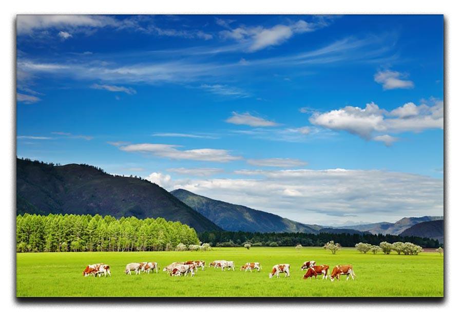 Mountain landscape with grazing cows and blue sky Canvas Print or Poster - Canvas Art Rocks - 1