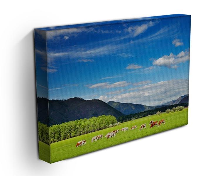 Mountain landscape with grazing cows and blue sky Canvas Print or Poster - Canvas Art Rocks - 3