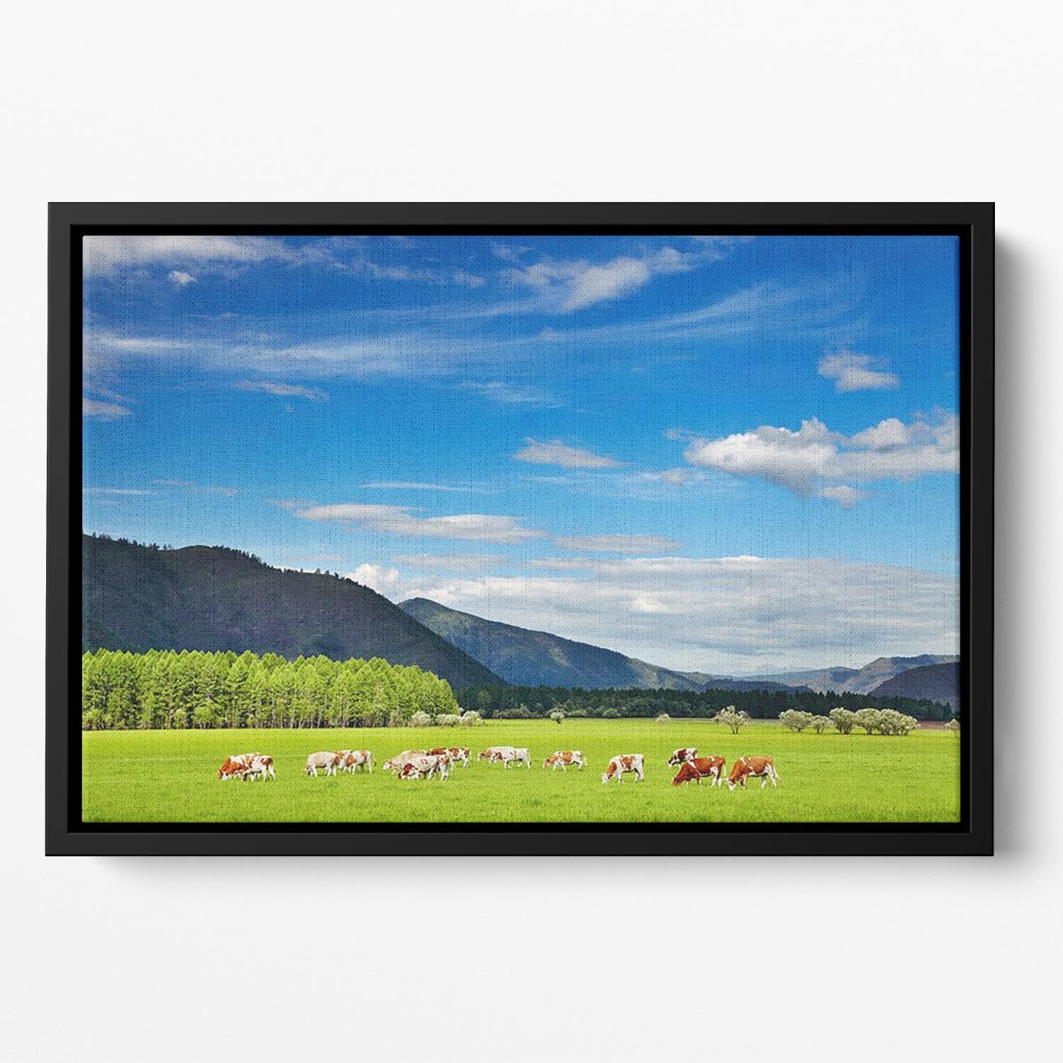 Mountain landscape with grazing cows and blue sky Floating Framed Canvas - Canvas Art Rocks - 2
