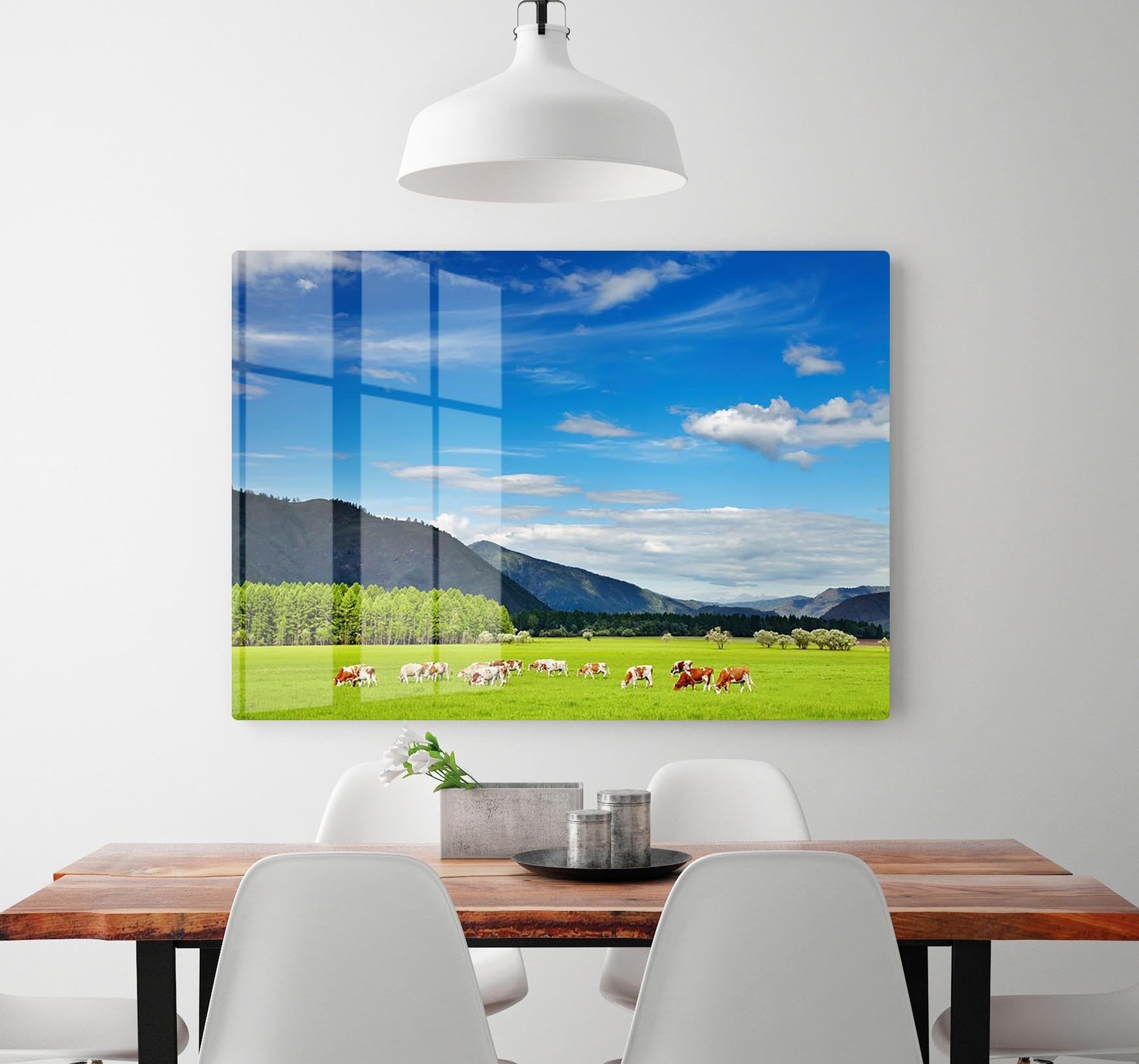 Mountain landscape with grazing cows and blue sky HD Metal Print - Canvas Art Rocks - 2