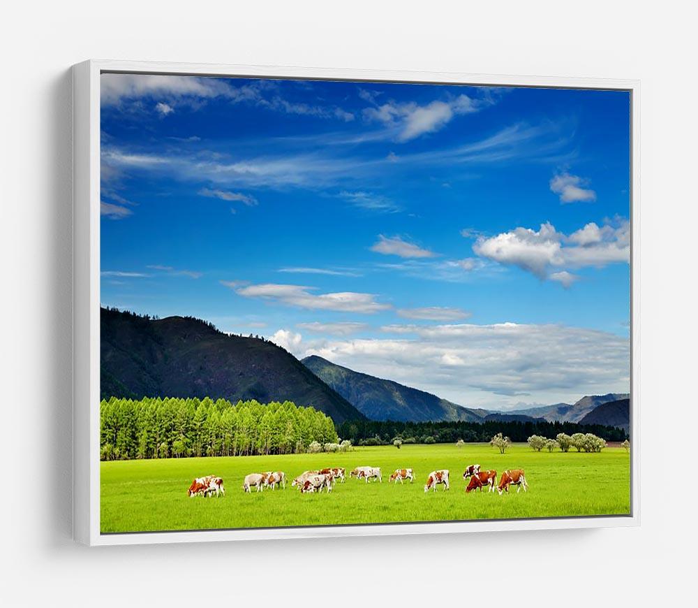 Mountain landscape with grazing cows and blue sky HD Metal Print - Canvas Art Rocks - 7
