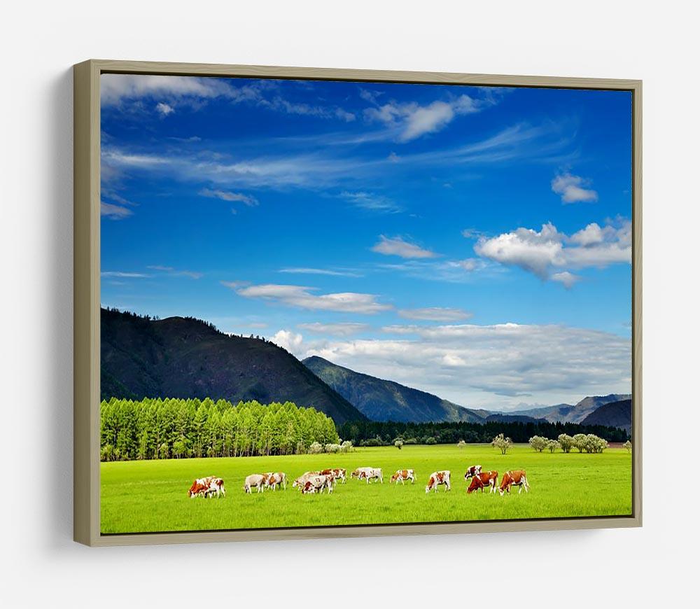 Mountain landscape with grazing cows and blue sky HD Metal Print - Canvas Art Rocks - 8