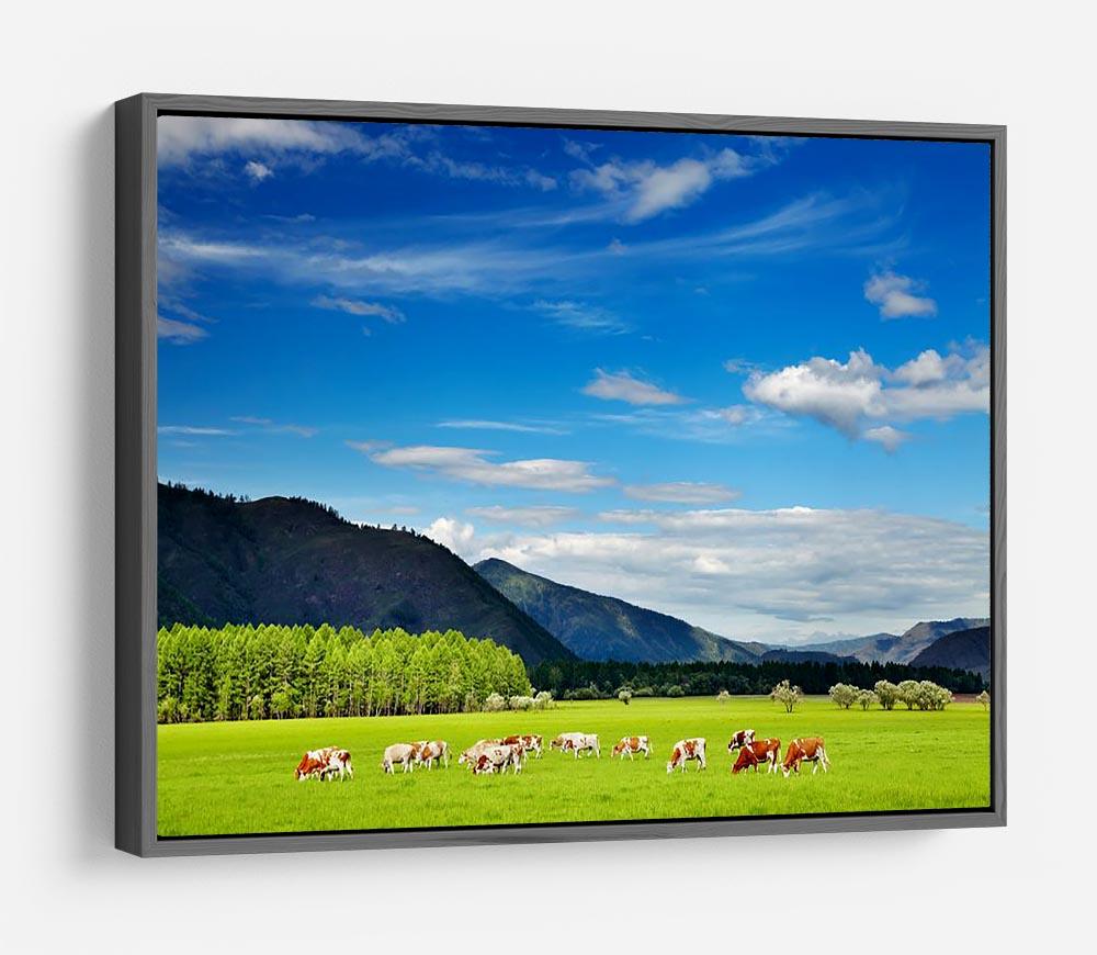 Mountain landscape with grazing cows and blue sky HD Metal Print - Canvas Art Rocks - 9