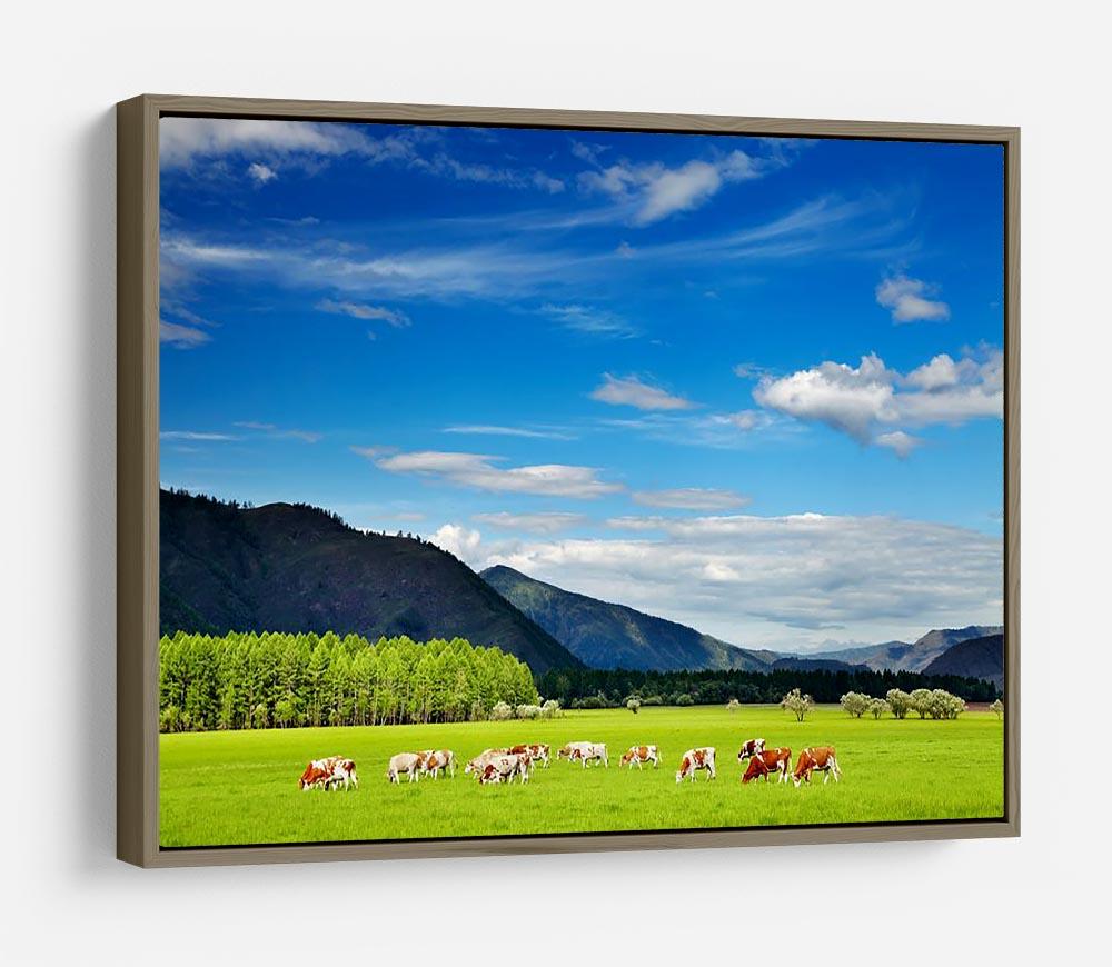 Mountain landscape with grazing cows and blue sky HD Metal Print - Canvas Art Rocks - 10
