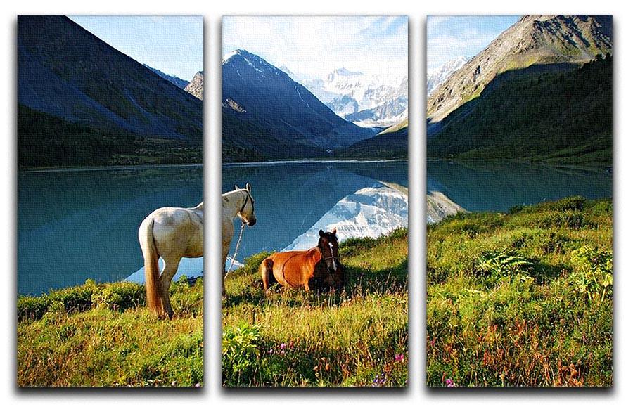 Mountain pasture horses 3 Split Panel Canvas Print - Canvas Art Rocks - 1