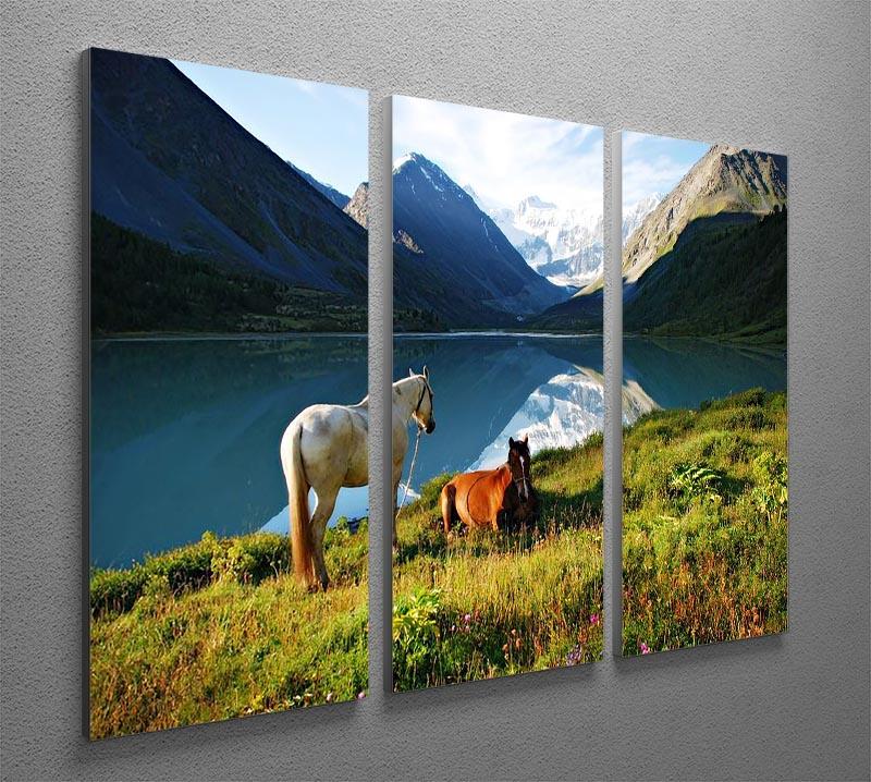 Mountain pasture horses 3 Split Panel Canvas Print - Canvas Art Rocks - 2