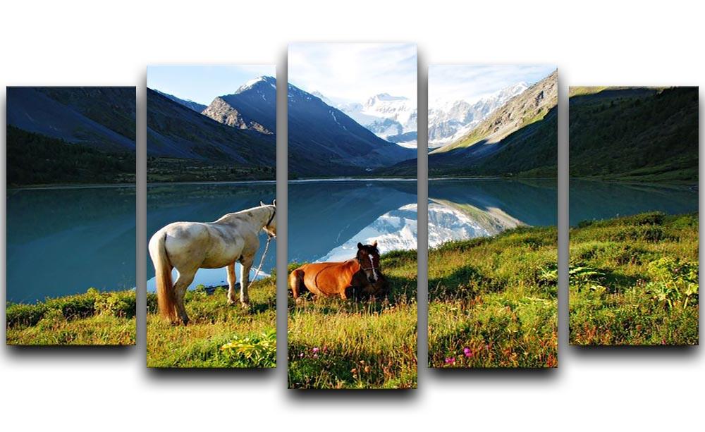Mountain pasture horses 5 Split Panel Canvas - Canvas Art Rocks - 1