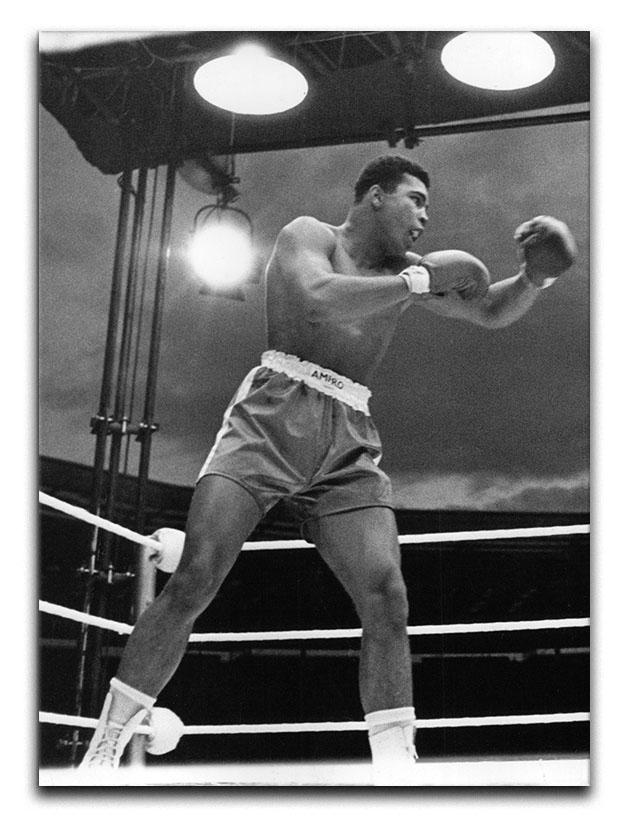 Muhammad Ali 1963 Canvas Print or Poster  - Canvas Art Rocks - 1