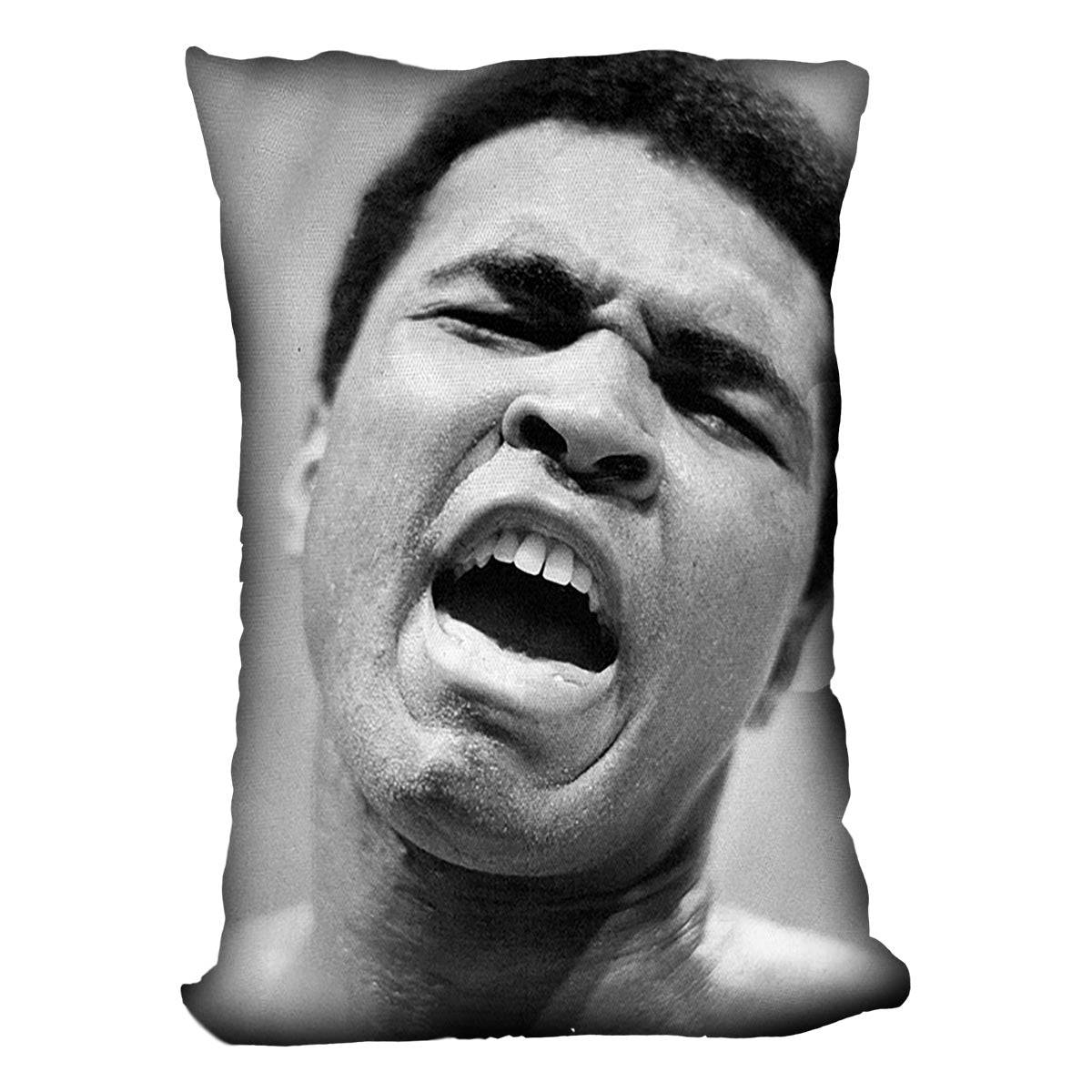 Muhammad Ali shouts Cushion