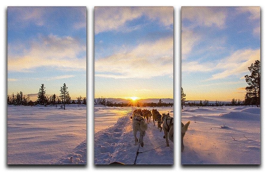 Musher and passenger in a dog sleigh with huskies a cold winter evening 3 Split Panel Canvas Print - Canvas Art Rocks - 1