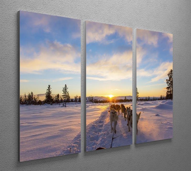 Musher and passenger in a dog sleigh with huskies a cold winter evening 3 Split Panel Canvas Print - Canvas Art Rocks - 2