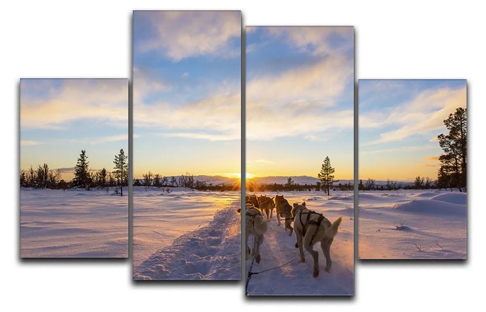 Musher and passenger in a dog sleigh with huskies a cold winter evening 4 Split Panel Canvas - Canvas Art Rocks - 1