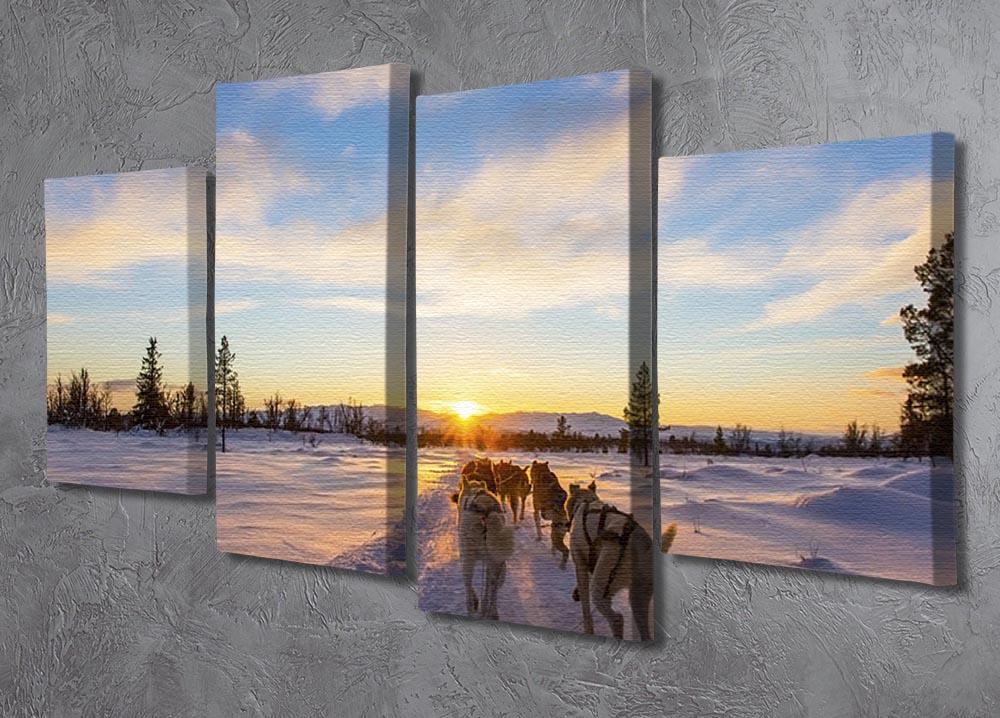 Musher and passenger in a dog sleigh with huskies a cold winter evening 4 Split Panel Canvas - Canvas Art Rocks - 2