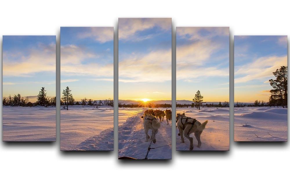 Musher and passenger in a dog sleigh with huskies a cold winter evening 5 Split Panel Canvas - Canvas Art Rocks - 1