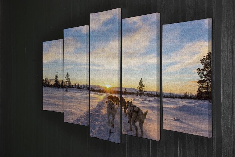 Musher and passenger in a dog sleigh with huskies a cold winter evening 5 Split Panel Canvas - Canvas Art Rocks - 2