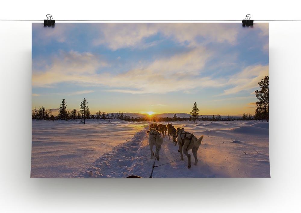 Musher and passenger in a dog sleigh with huskies a cold winter evening Canvas Print or Poster - Canvas Art Rocks - 2