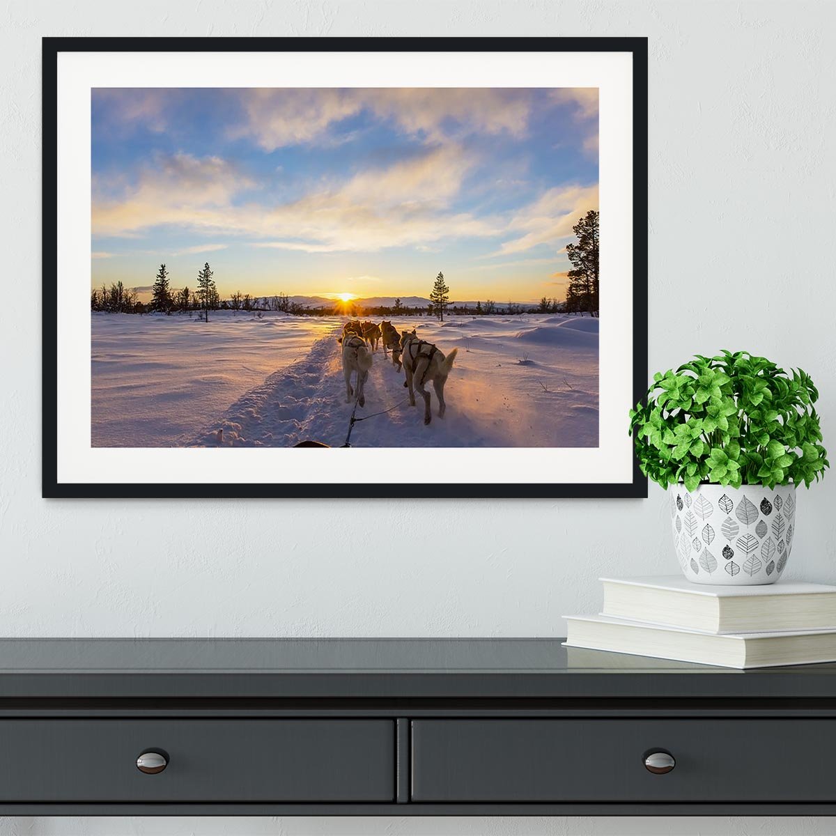 Musher and passenger in a dog sleigh with huskies a cold winter evening Framed Print - Canvas Art Rocks - 1