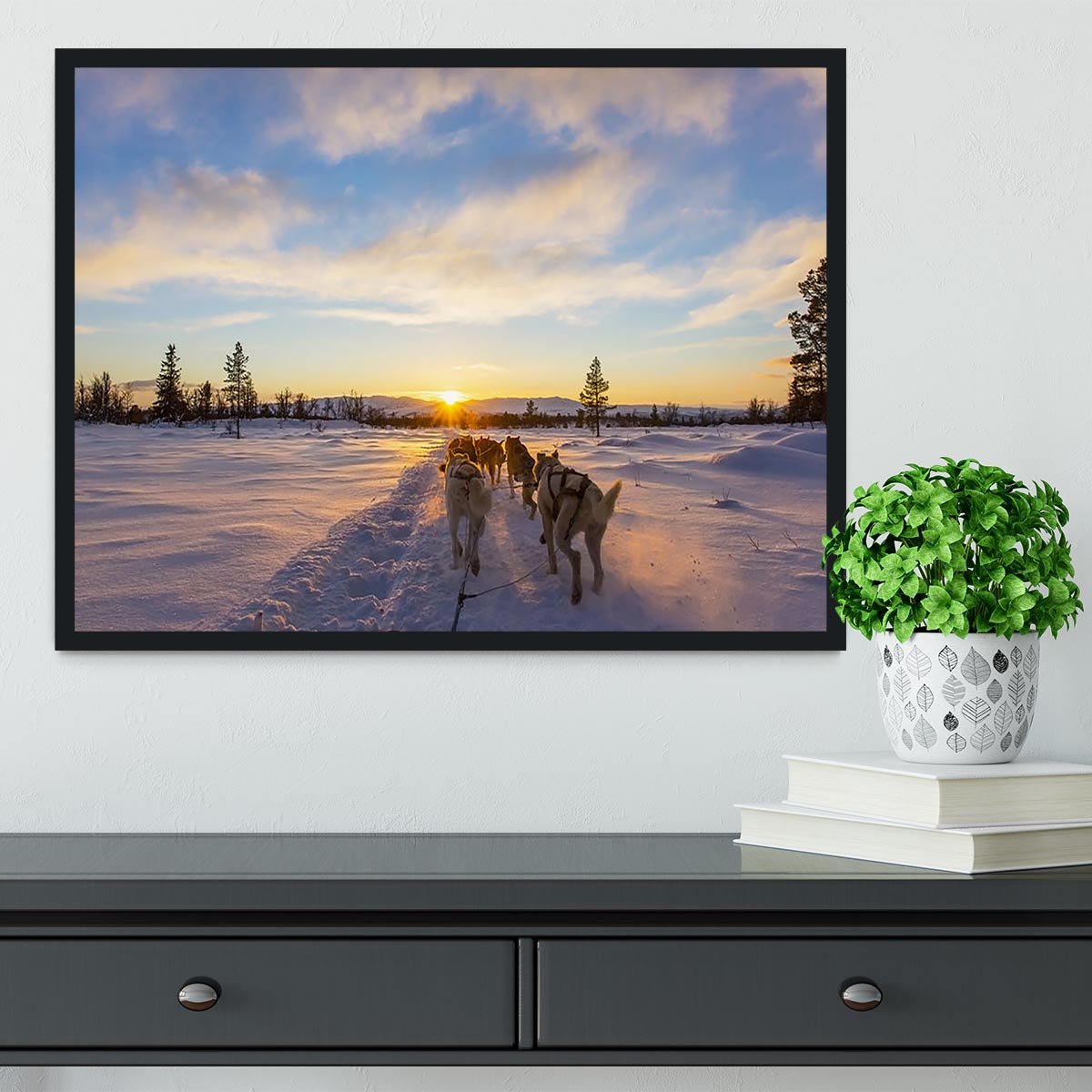 Musher and passenger in a dog sleigh with huskies a cold winter evening Framed Print - Canvas Art Rocks - 2