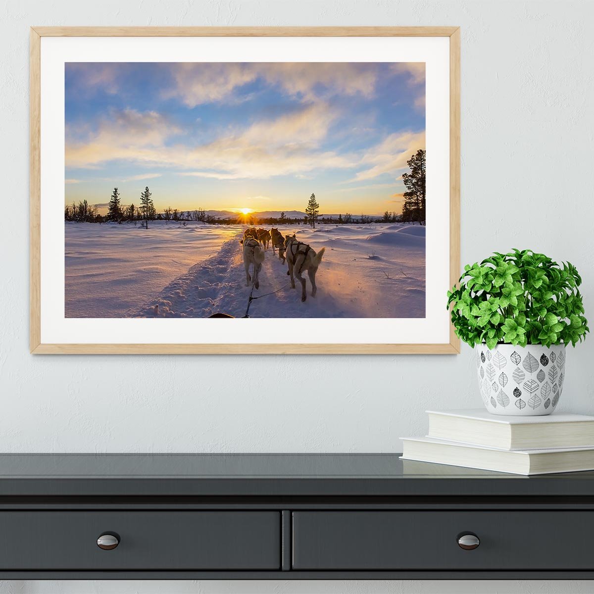 Musher and passenger in a dog sleigh with huskies a cold winter evening Framed Print - Canvas Art Rocks - 3