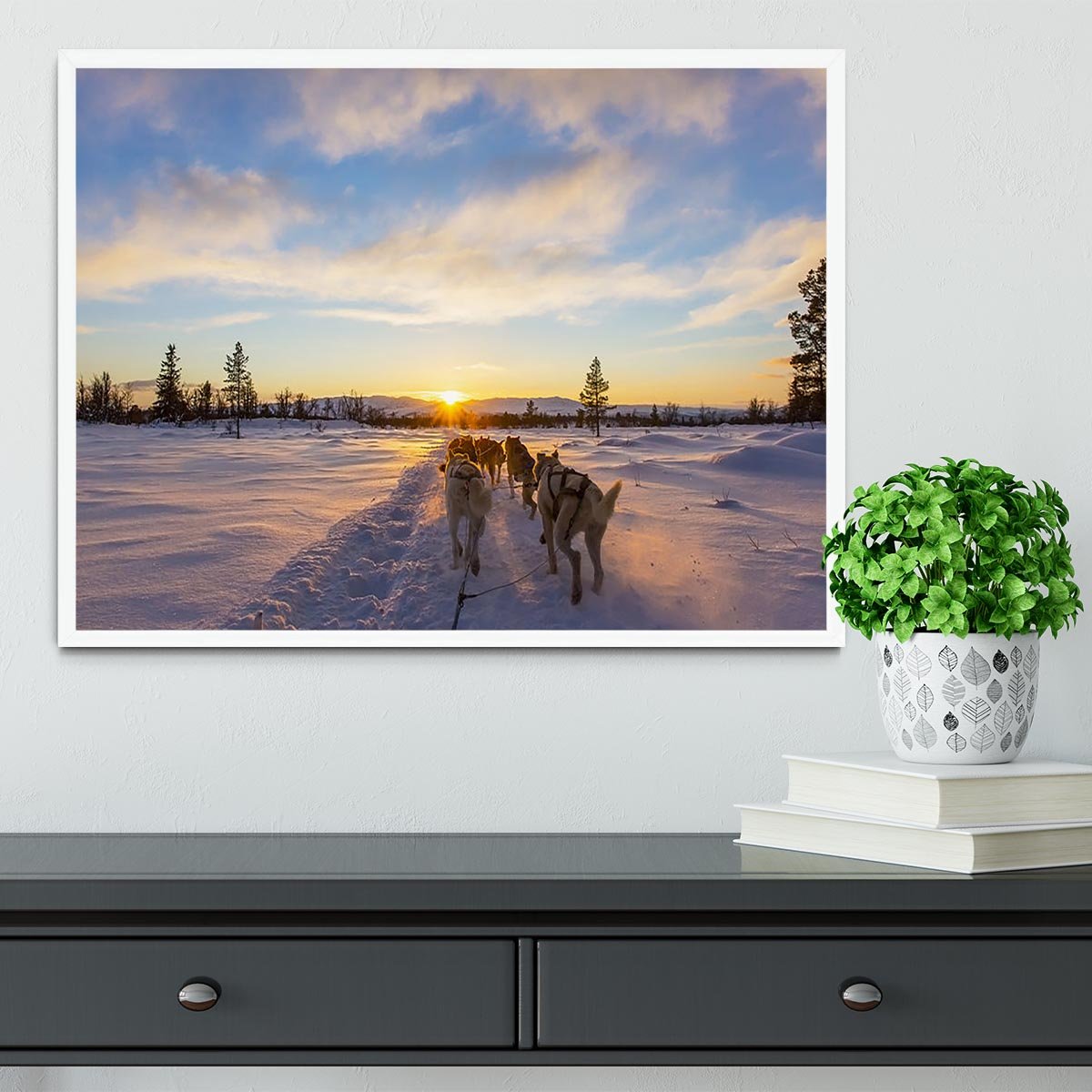 Musher and passenger in a dog sleigh with huskies a cold winter evening Framed Print - Canvas Art Rocks -6