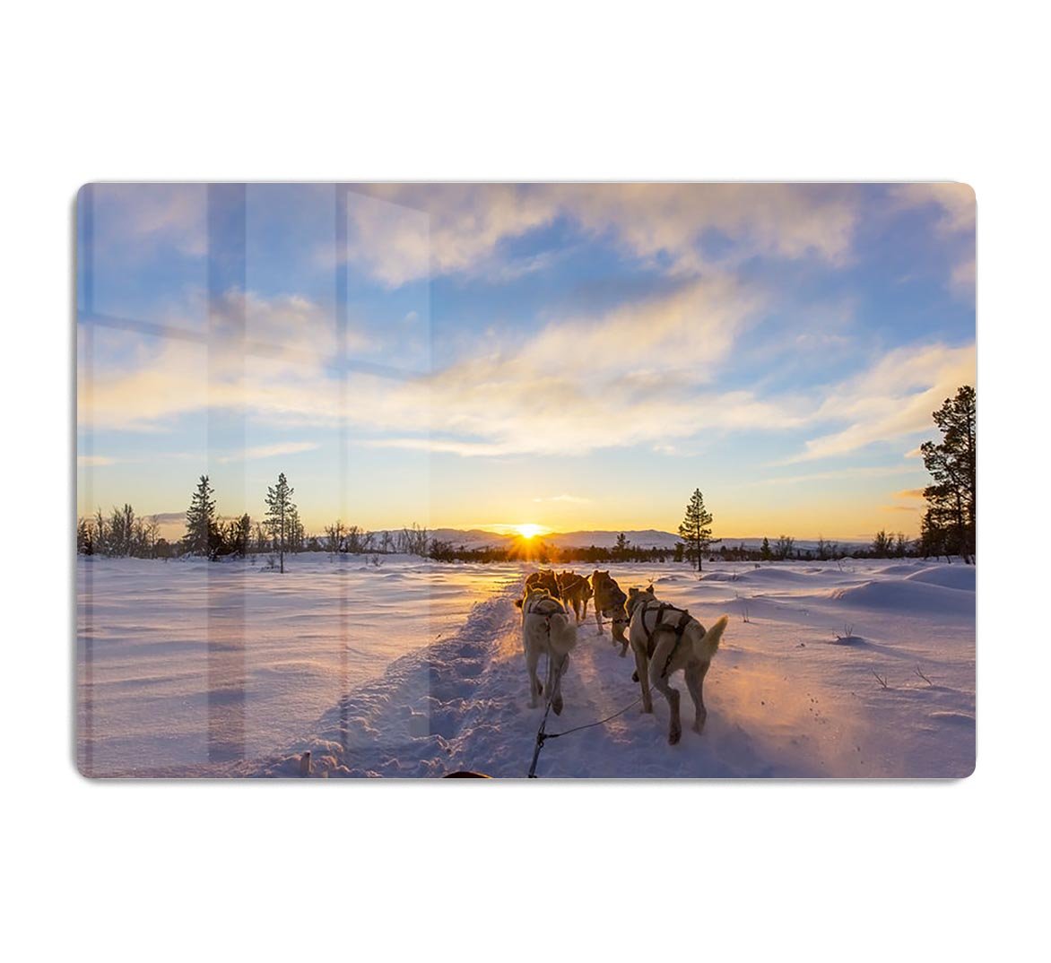 Musher and passenger in a dog sleigh with huskies a cold winter evening HD Metal Print - Canvas Art Rocks - 1